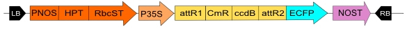 in3-vec10 _fig1.jpg